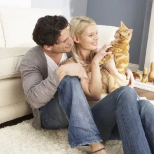 Kako v stanovanju vsebovati mucka ali odrasle mačke: pravila za ohranjanje mačk doma